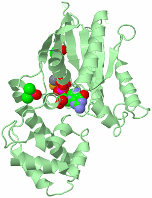 Image Biological Unit 3