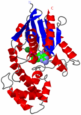 Image Asym./Biol. Unit