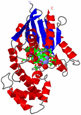 Image Asym./Biol. Unit - sites