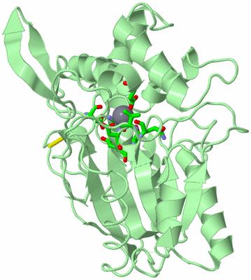 Image Biol. Unit 1 - sites