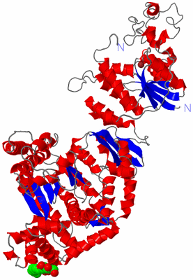 Image Asym./Biol. Unit