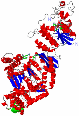 Image Asym./Biol. Unit - sites