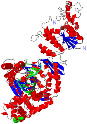 Image Asym./Biol. Unit