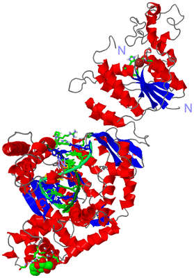 Image Asym./Biol. Unit - sites