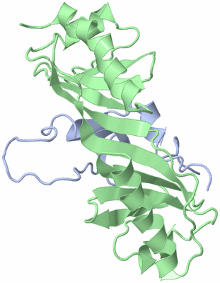 Image NMR Structure - model 1