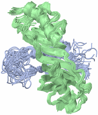Image NMR Structure - all models