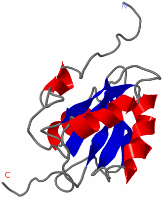 Image NMR Structure - model 1