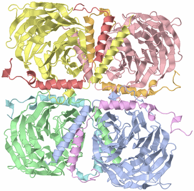 Image Biological Unit 1