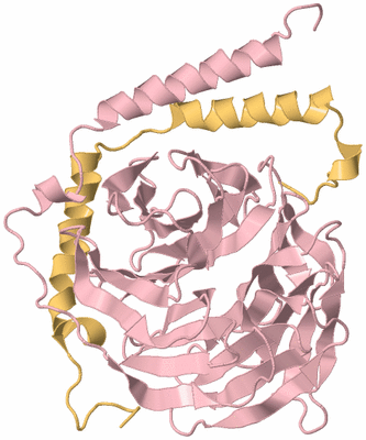 Image Biological Unit 2