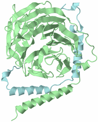 Image Biological Unit 3