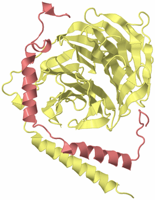 Image Biological Unit 4