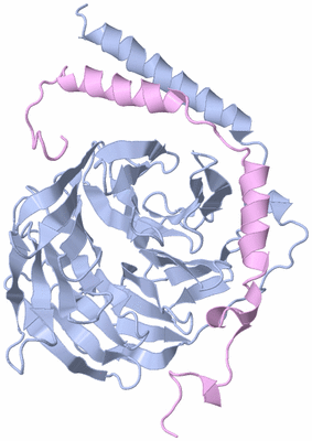 Image Biological Unit 5