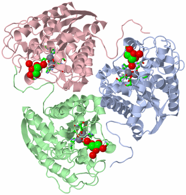 Image Asym./Biol. Unit - sites