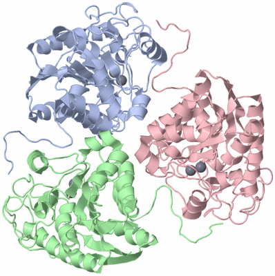 Image Asym./Biol. Unit