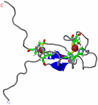 Image NMR Structure - model 1, sites