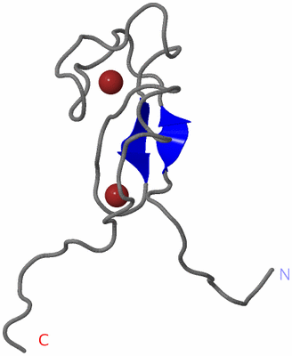 Image NMR Structure - model 1