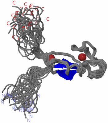 Image NMR Structure - all models