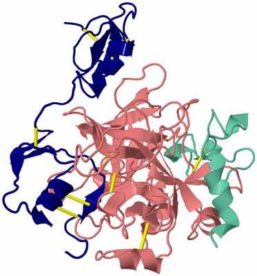 Image Biological Unit 1