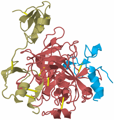 Image Biological Unit 2