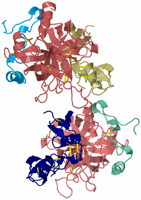 Image Biological Unit 1