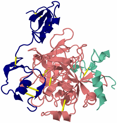 Image Biological Unit 2