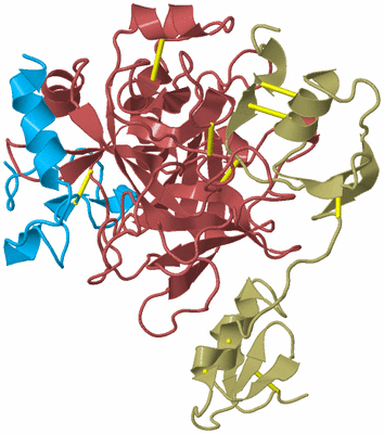 Image Biological Unit 3