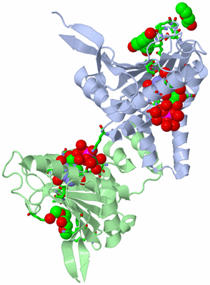 Image Biol. Unit 1 - sites