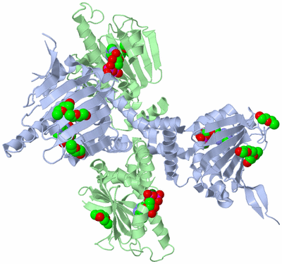 Image Biological Unit 3