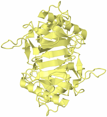 Image Biological Unit 3