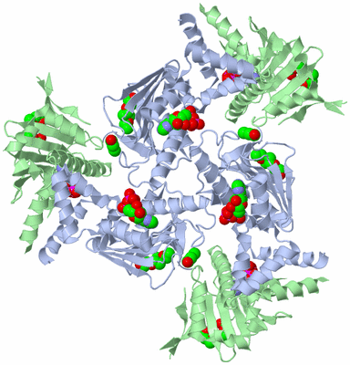 Image Biological Unit 3