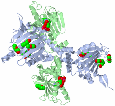 Image Biological Unit 4