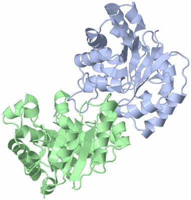 Image Asym./Biol. Unit