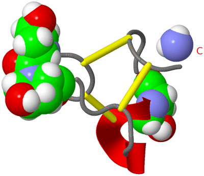 Image NMR Structure - model 1