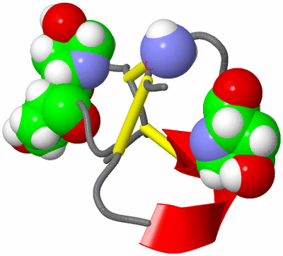 Image NMR Structure - model 1