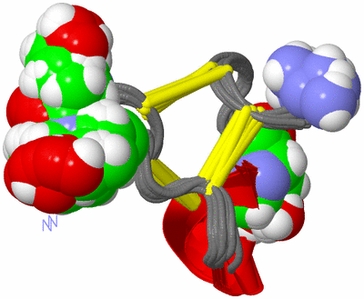 Image NMR Structure - all models