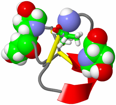 Image NMR Structure - model 1, sites