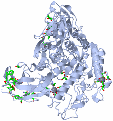 Image Biol. Unit 1 - sites