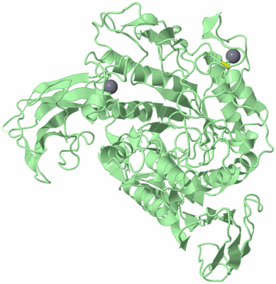 Image Biological Unit 2