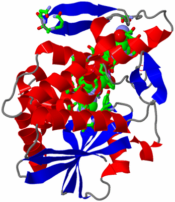 Image Asym./Biol. Unit - sites