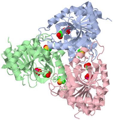 Image Asym./Biol. Unit