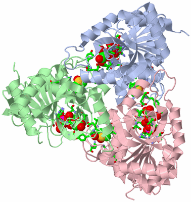 Image Asym./Biol. Unit - sites