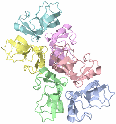 Image Asymmetric Unit
