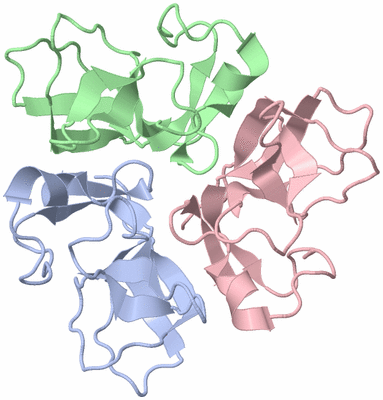 Image Biological Unit 1