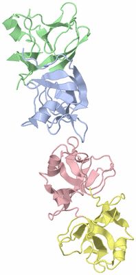 Image Asymmetric Unit