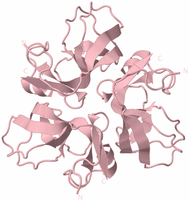 Image Biological Unit 3