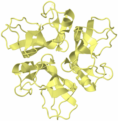 Image Biological Unit 4