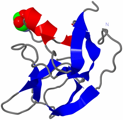 Image Asymmetric Unit