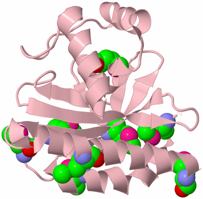 Image Biological Unit 3