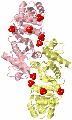 Image Biological Unit 2