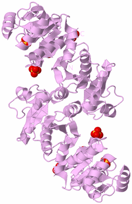 Image Biological Unit 3